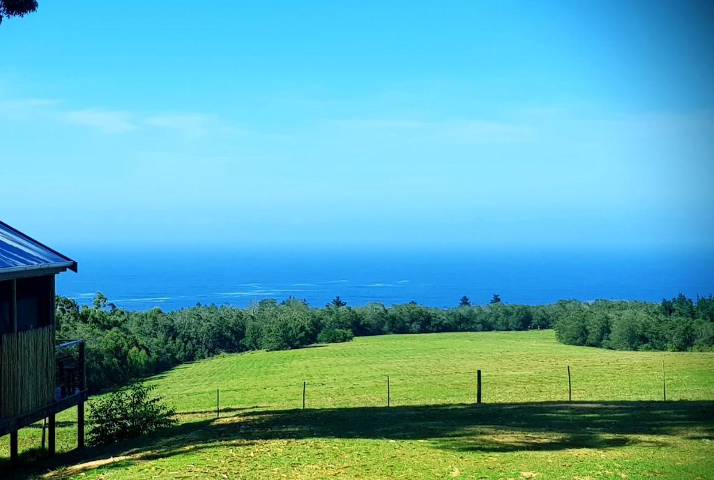 a field of green grass with a fence in the foreground at Down-to-Earth Luxury Tented Accommodation in George