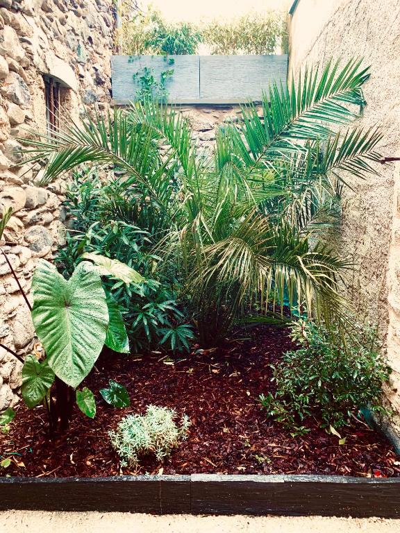 Zahrada ubytování Le Patio - Vallée d'Aspe