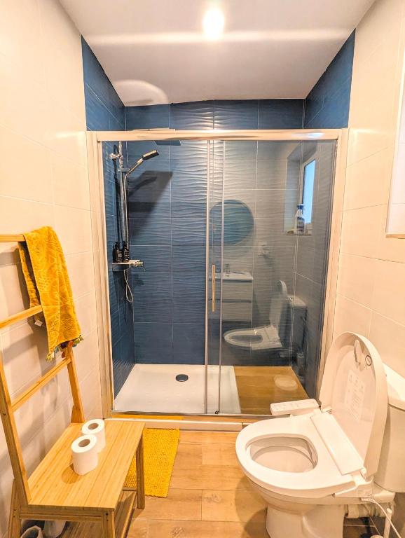 a bathroom with a shower and a toilet at The Green Apartment - Central Malta - 2 Bedrooms, 2 Bathrooms in Msida