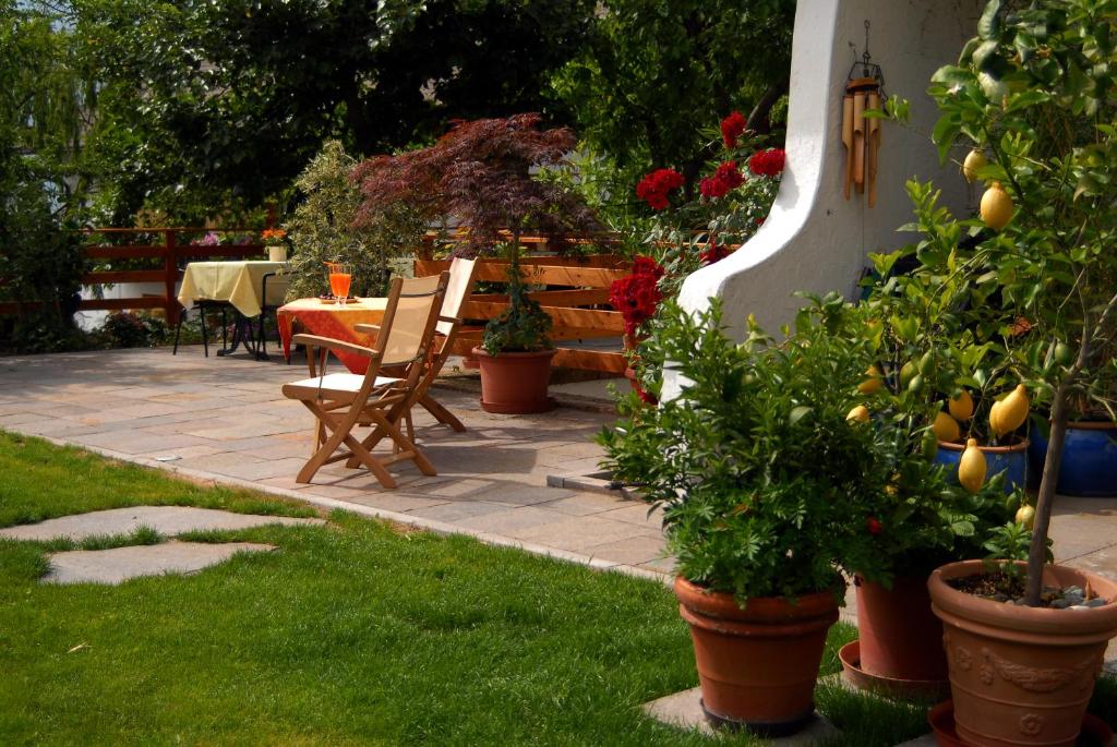 Zahrada ubytování Pension Chalet Andy