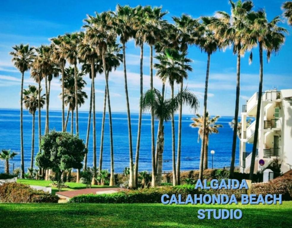 Blick auf das Meer von einem Resort mit Palmen in der Unterkunft NUEVO! Algaida Calahonda Beach Studio in Sitio de Calahonda