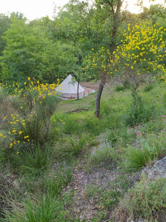 Arpino – Photos 3