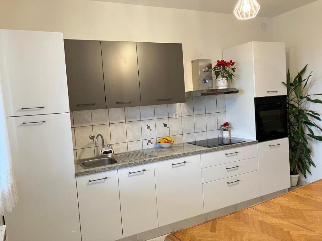Kuchyňa alebo kuchynka v ubytovaní Apartment *Biba*