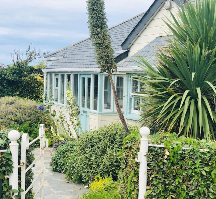 una casa con una palma di fronte di St Edwards Cottage, Tintagel a Tintagel