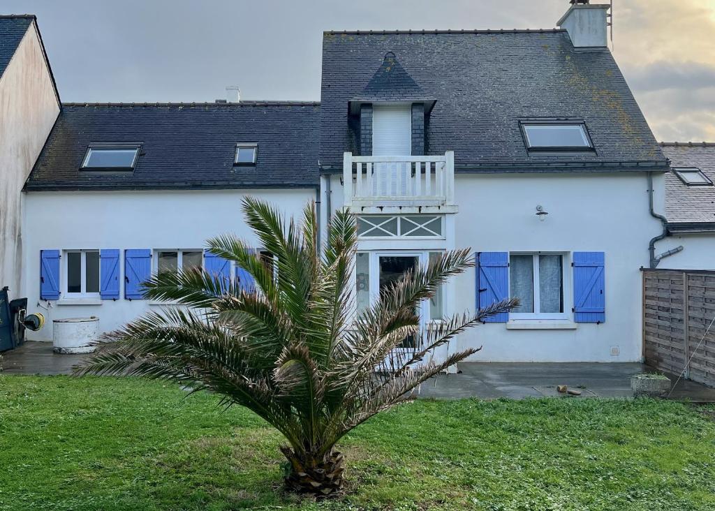 uma casa branca com uma palmeira em frente em Maison de charme, proche plages em Saint-Pierre-Quiberon