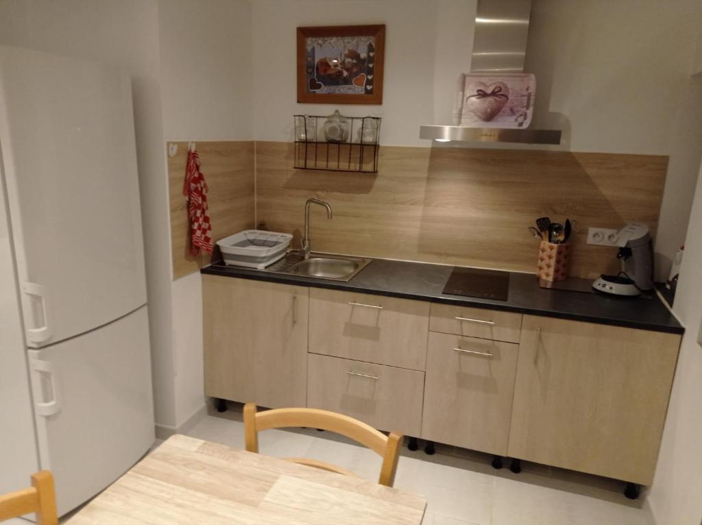 uma pequena cozinha com um lavatório e um frigorífico em La marmotte em Briançon