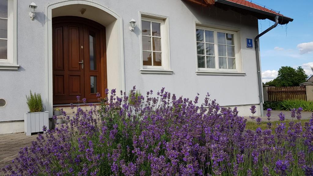 a house with purple flowers in front of it at Błękitny Domek in Wydminy