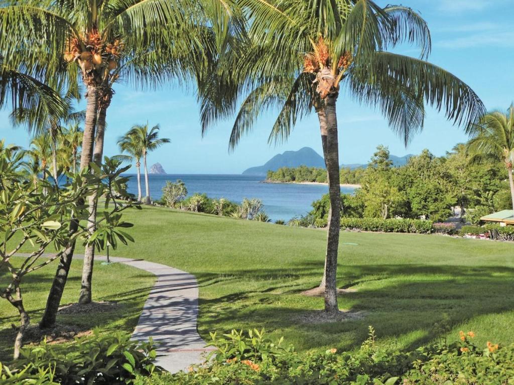 a path between two palm trees next to the ocean at Village Sainte Luce, Martinique - maeva Home - Studio 3 personnes - Prestige 704 in Sainte-Luce