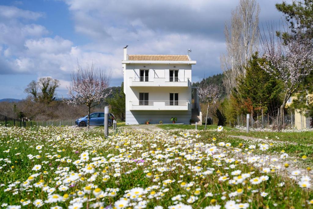 una casa blanca con un campo de flores en Aliki`s Luxury Suite with view, pet friendly! en Vátos