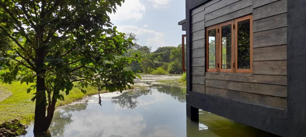 Příroda nedaleko hotelu