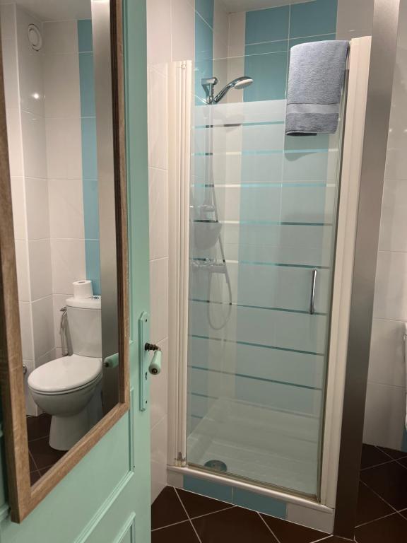 La salle de bains est pourvue de toilettes et d'une douche en verre. dans l'établissement Le Pigeonnier, à Saint-Martin-le-Beau