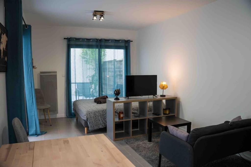 un salon avec un canapé et une télévision dans l'établissement Studio cosy/Parking/Jardin, à Toulouse