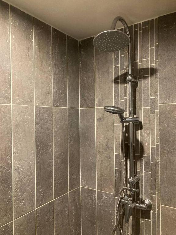 a shower with a shower head in a bathroom at Propriete de 2 chambres avec terrasse et wifi a Saint Denis in Saint-Denis