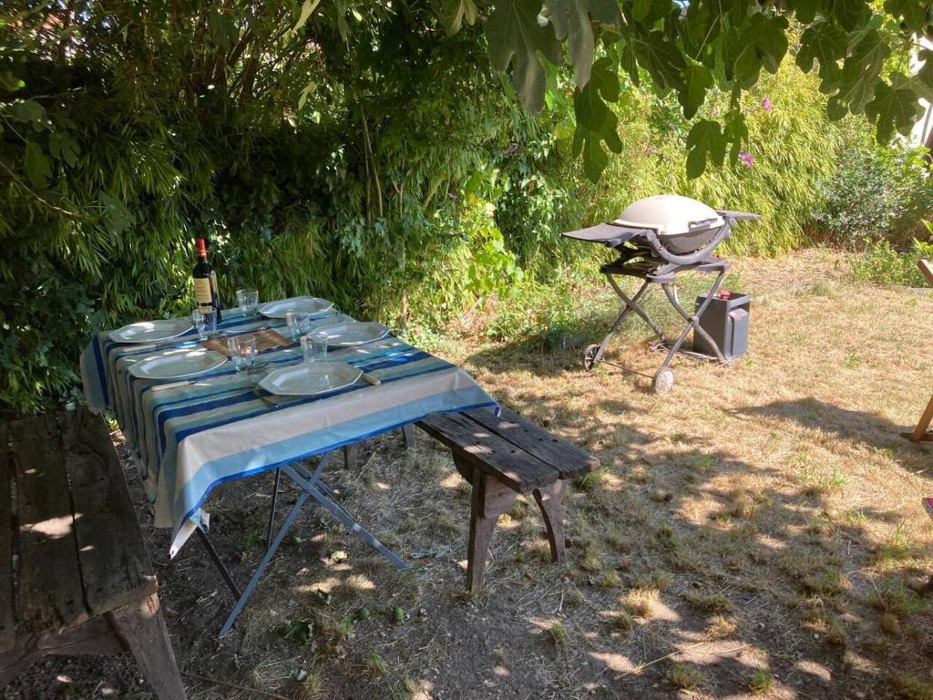 a picnic table and a grill in a yard at Propriete de 2 chambres avec terrasse et wifi a Saint Denis in Saint-Denis
