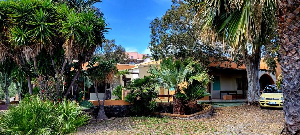 una casa con palmeras delante en L'Oasi di Recale, en Scauri