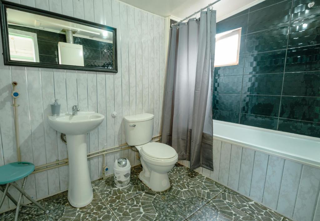 a bathroom with a toilet and a sink and a shower at Magic Hause Patagonia in Puerto Natales