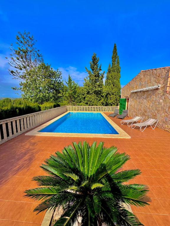 a swimming pool in a yard with a palm tree at Finca Ses Barraques in Manacor