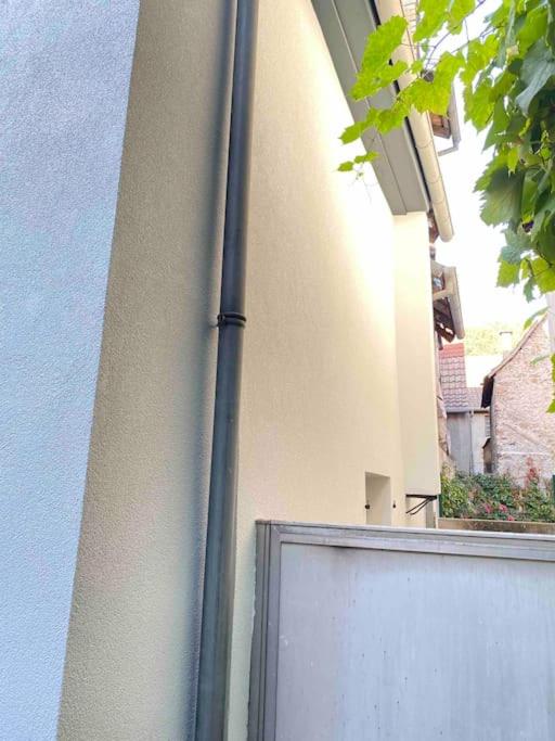 Maison Alsacienne & Moderne en Hypercentre – photo 20