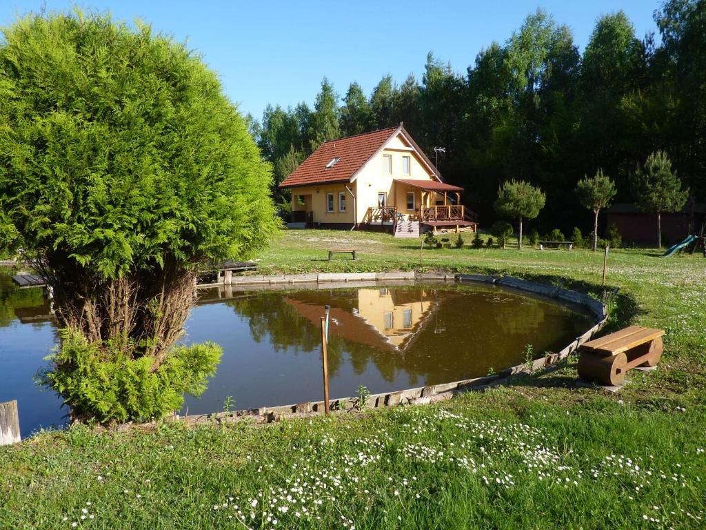 een huis en een vijver voor een huis bij Dom nad stawem in Żywki
