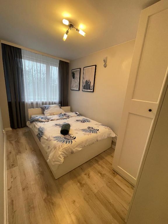 Mieszkanie w centrum z oddzielną sypialnią - 17