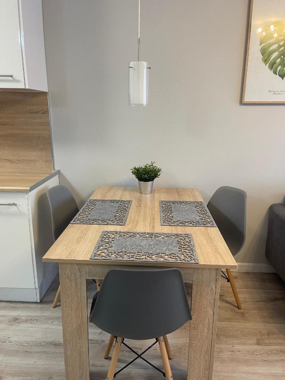 Mieszkanie w centrum z oddzielną sypialnią - 8