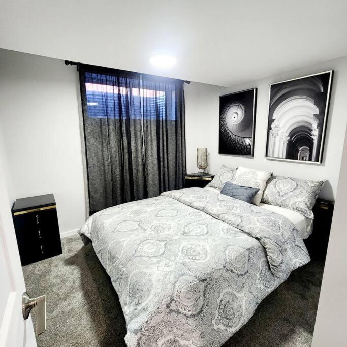 Aurora legal suite, Calgary (updated prices 2024)