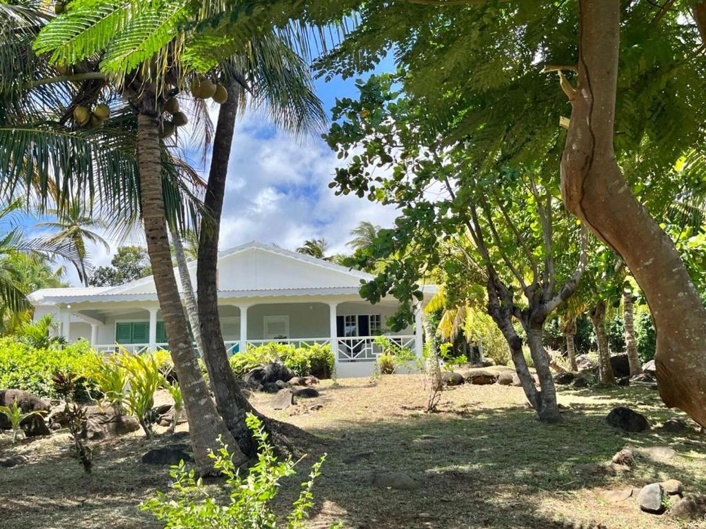 una casa blanca con palmeras delante en Villa Lu-Ja 