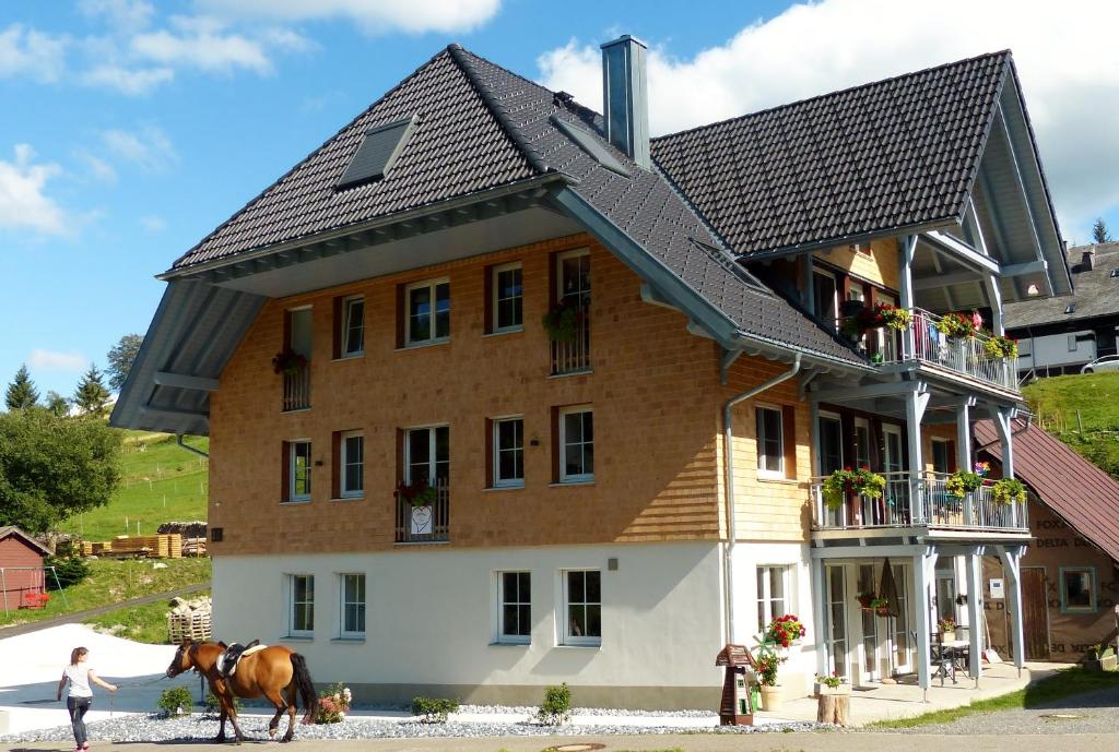 een paard staat voor een gebouw bij Sonnerhof Hofsgrund in Oberried