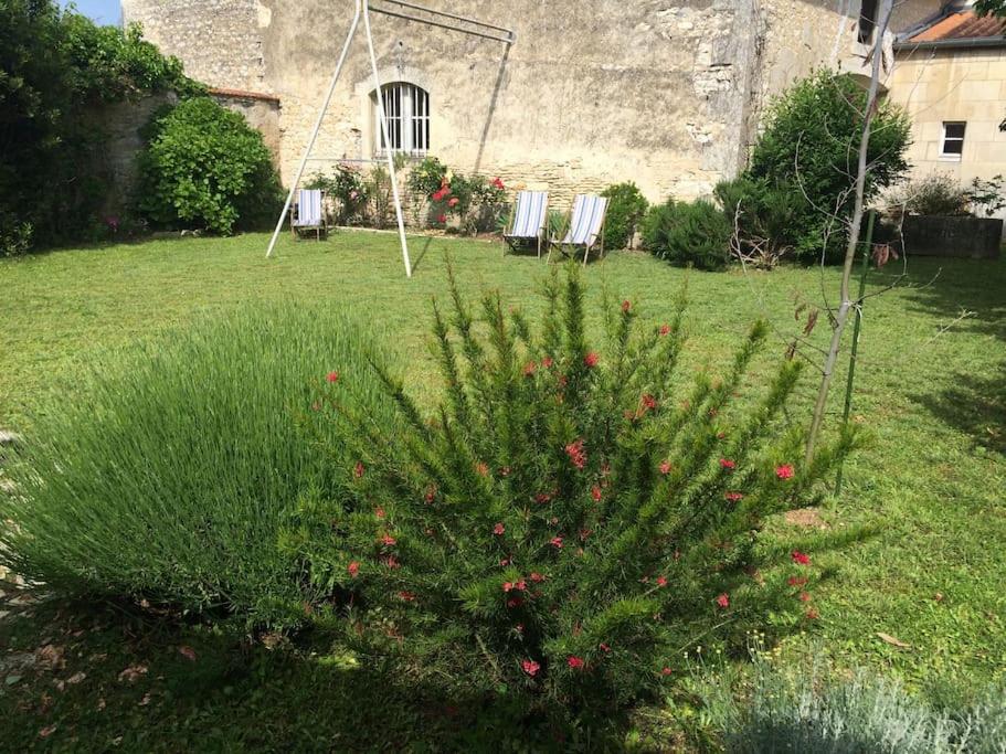 un bush vert dans une cour avec un bâtiment dans l'établissement Location cure ou vacances dans maison charentaise centre ville, à Saujon