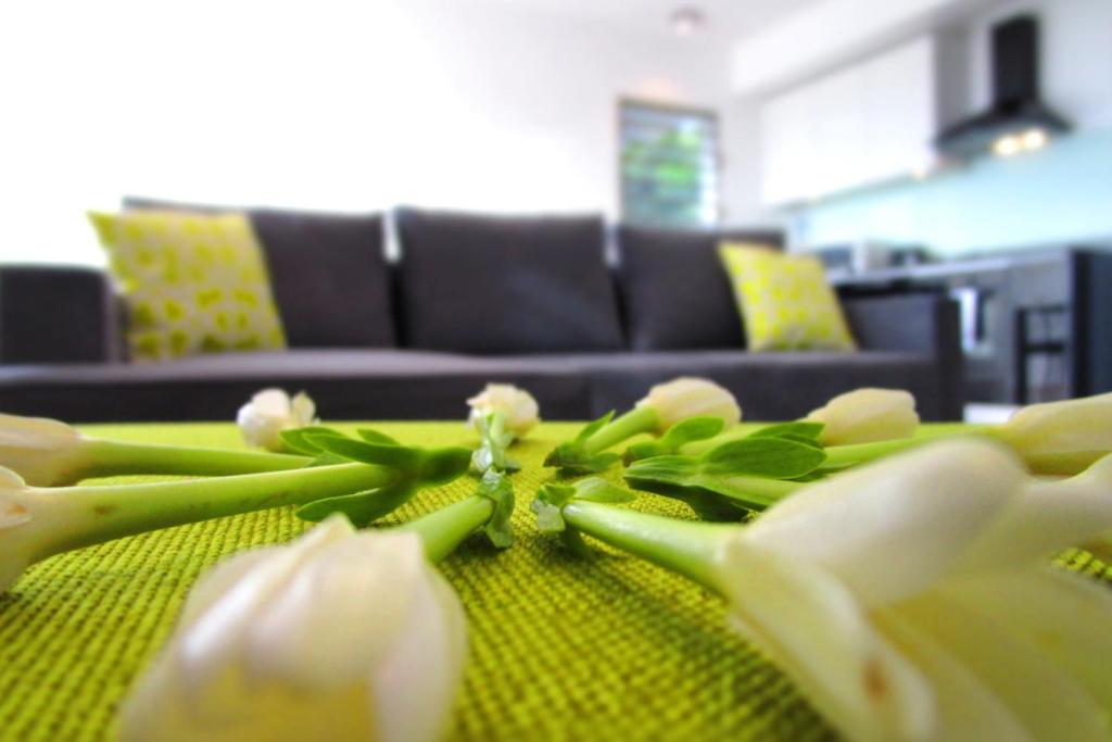 Posezení v ubytování Apartment Heitiare