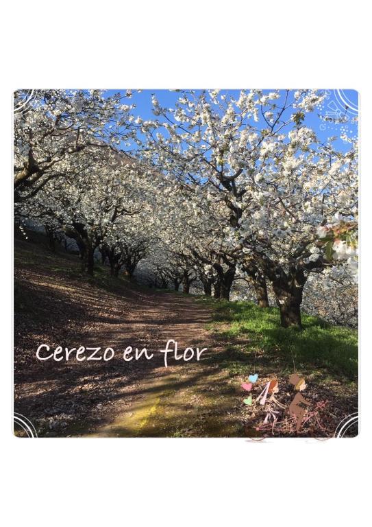 Fotografia z galérie ubytovania Apartamento rural FRAGARIA v destinácii Casas del Monte