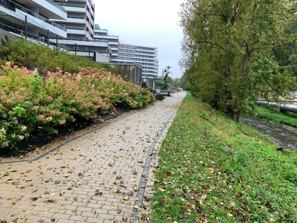Vonkajšia záhrada v ubytovaní Apart Vabi