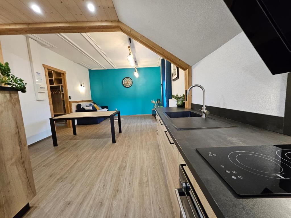 Kuhinja ili čajna kuhinja u objektu Gîte BLEUET le petit LOFT, dans résidence et SPA