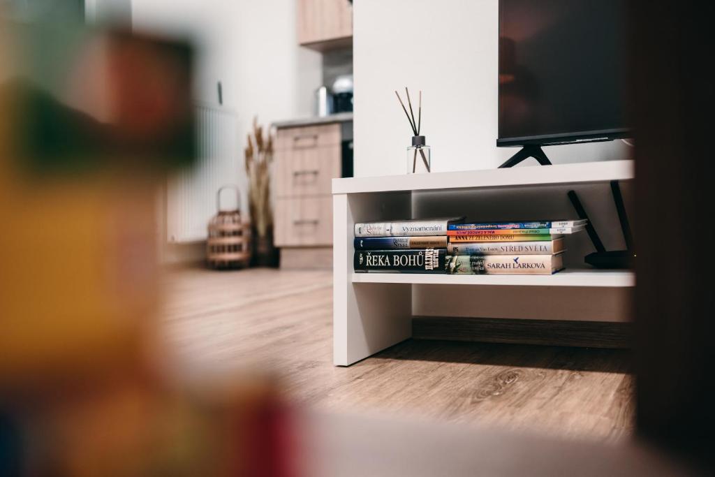 Knihovna v apartmánu