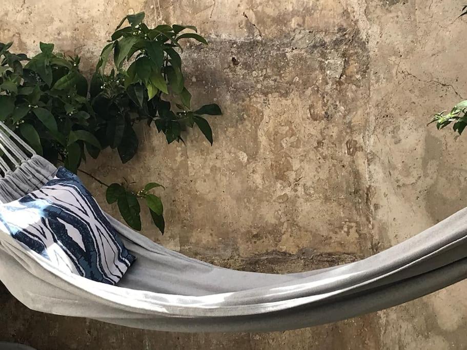 a hammock with a plant sitting next to a wall at Lovely house with courtyard and terrace near canal du Midi in Trèbes