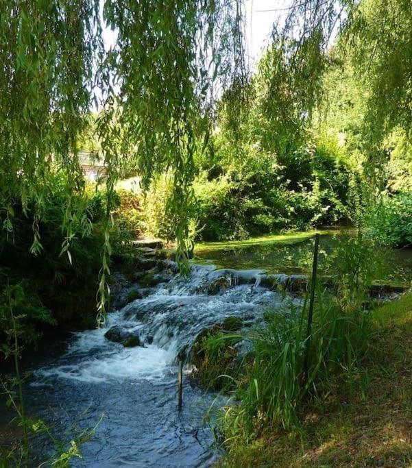 un ruisseau d'eau dans une forêt plantée d'arbres dans l'établissement Maison bord de rivière 15 min de Sens, à Marsangy