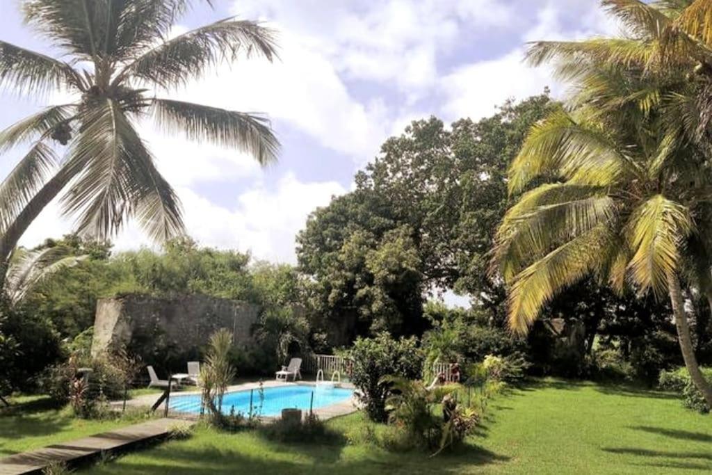 einen Pool in einem Garten mit Palmen in der Unterkunft Appartement - Résidence piscine La Villa Bèl in Sainte-Anne