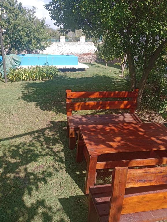 two wooden benches sitting under a tree near a pool at Casa en la Ruta del Vino in Mendoza