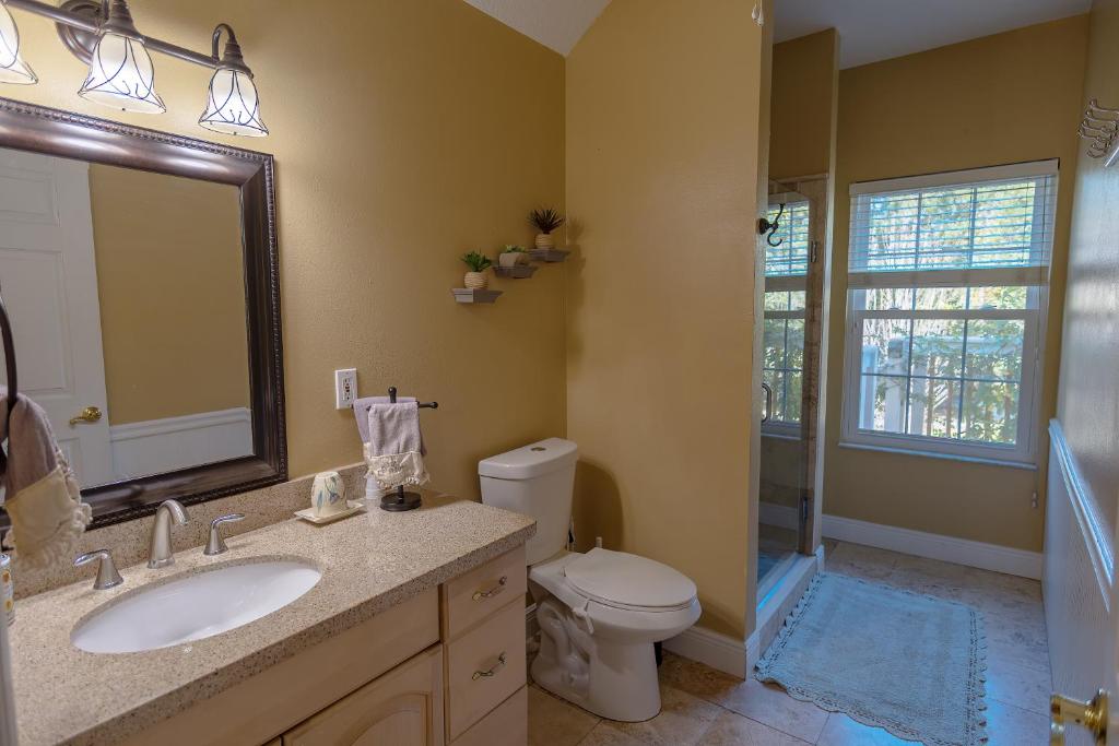 W łazience znajduje się toaleta, umywalka i lustro. w obiekcie Paradise in a country setting 1100 sq ft apartment w mieście Lake Mary