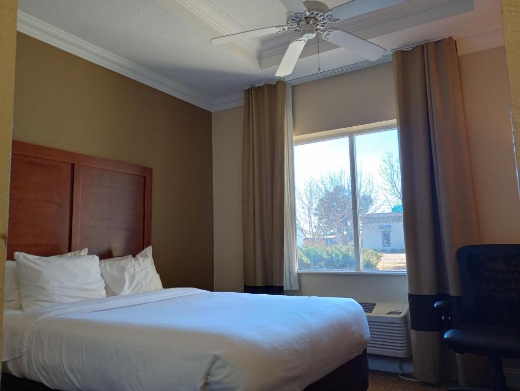 - une chambre avec un grand lit et une fenêtre dans l'établissement SAMIR Stay at NW Expressway, à Oklahoma City