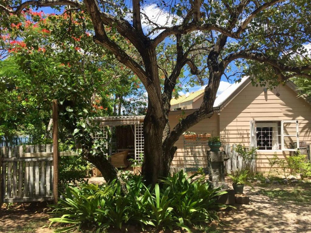 Charming house near Ilot Fortier with private pool