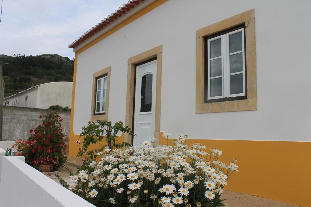 Budova, kde se the country house nachází