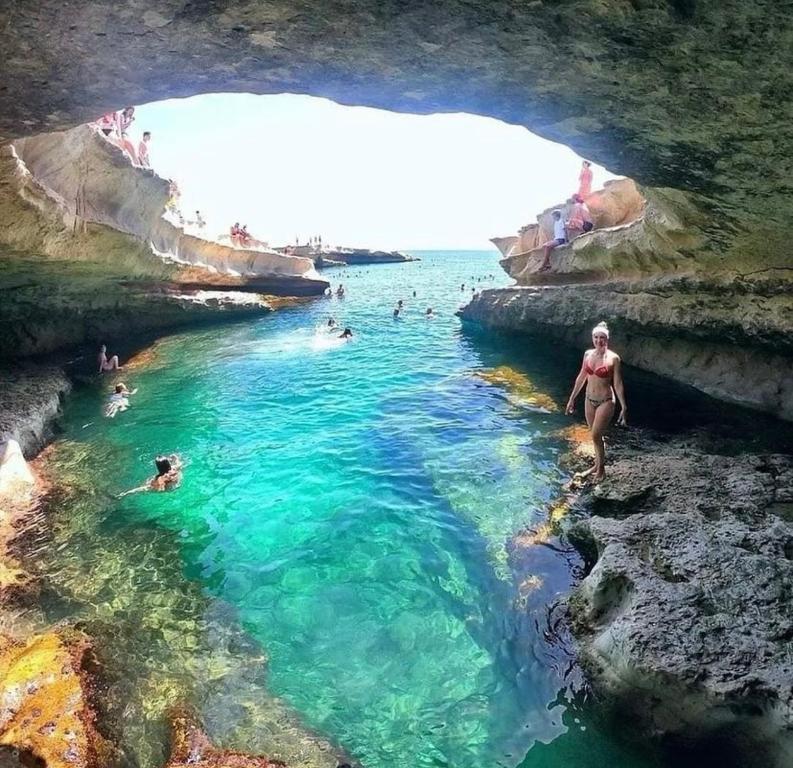 Příroda nedaleko apartmánu