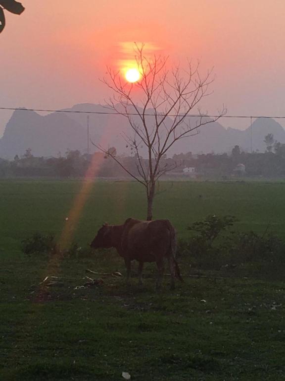 Palafita Bungalow - 9