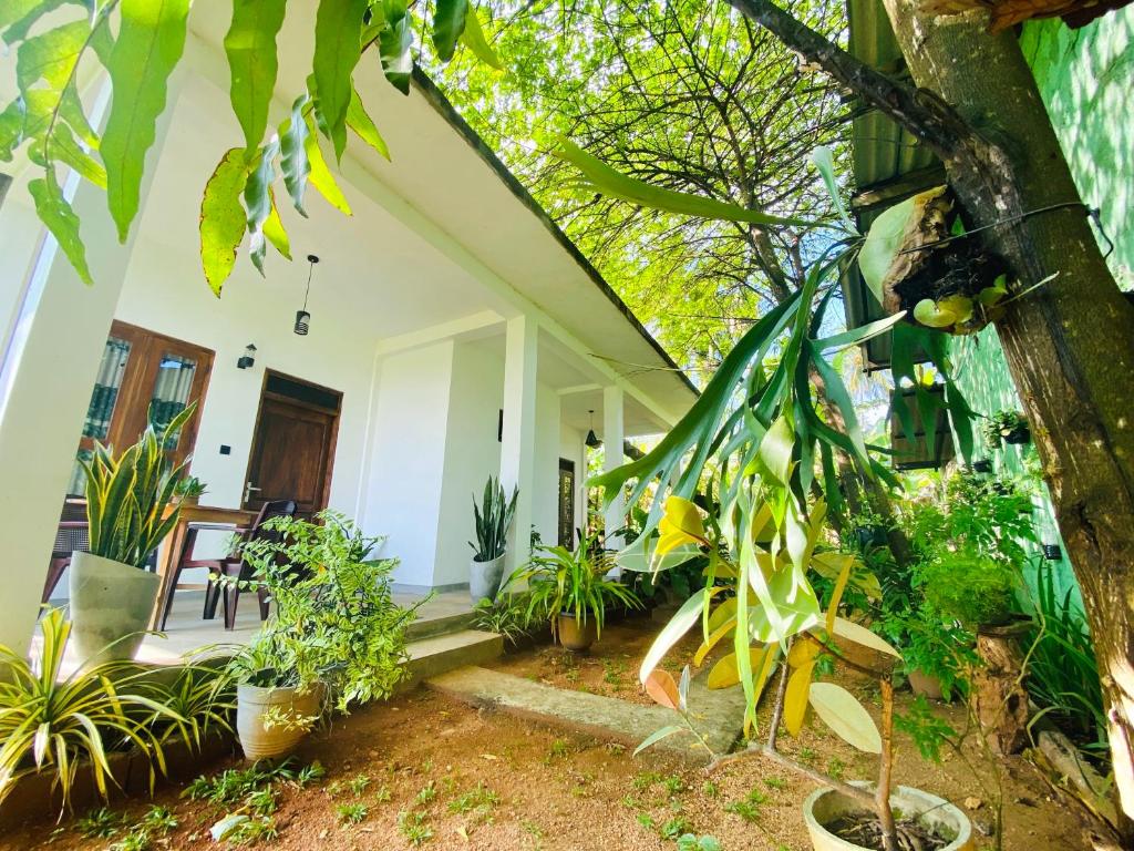 Zahrada ubytování Dimuthu Green Villa