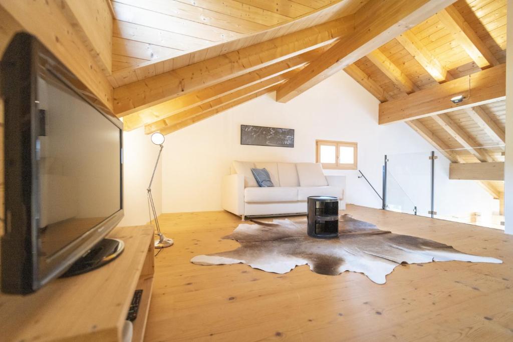 TV a/nebo společenská místnost v ubytování Chasa Capricornin