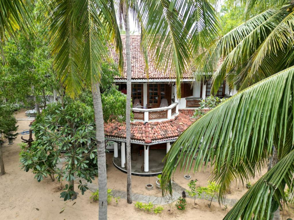 een luchtzicht op een huis met palmbomen bij Villa Wonne Family Appartement GardenFloor in Arugam Bay