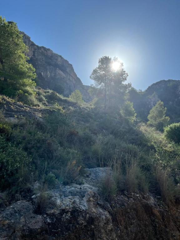 a view of a mountain with the sun shining through a tree at Cullera Mountain View in Cullera