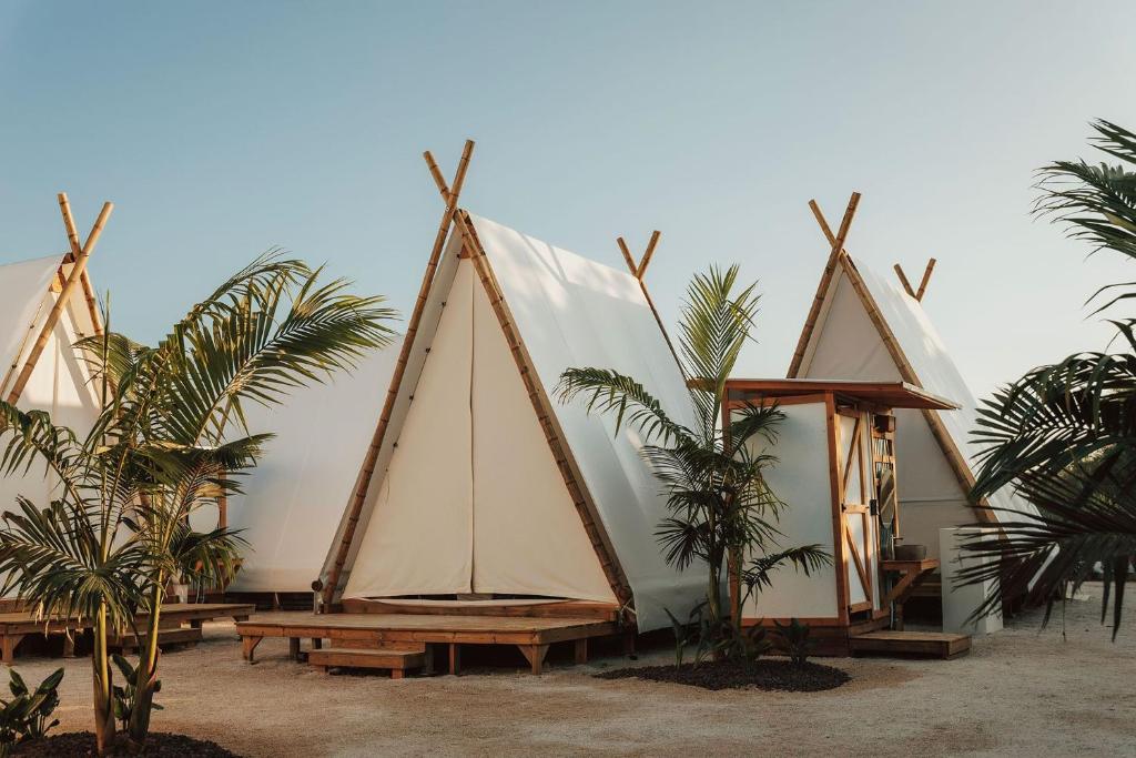 Fotografie z fotogalerie ubytování Kampaoh Kikopark Playa v destinaci Oliva