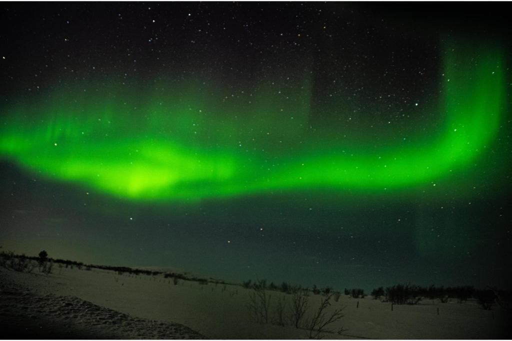 an image of the northern lights in the sky at Aurora Tent Camp in Karasjok